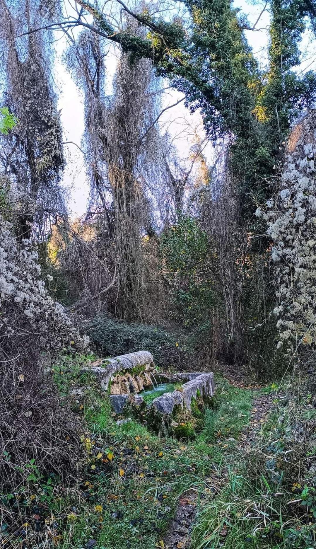 Casa Rural Villa De Lupiana المظهر الخارجي الصورة